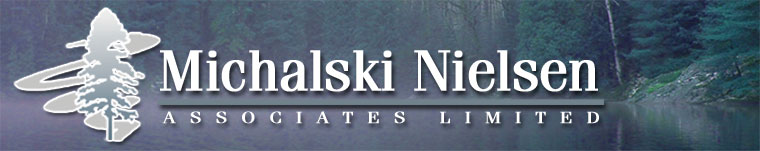 michalski nielsen associates limited